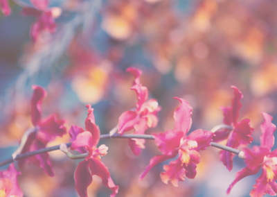 攻击网站服务器